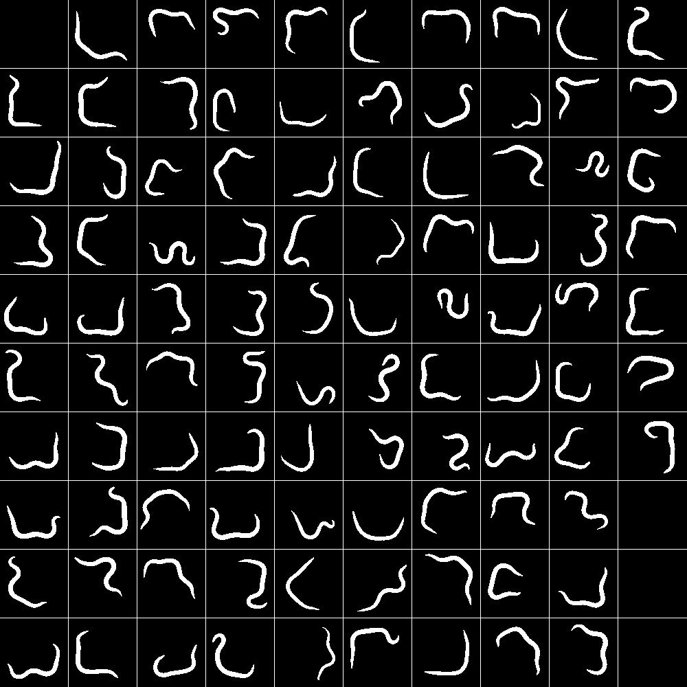 Array of microchambers containing growing C. elegans individuals.