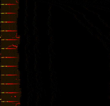 Straightened C. elegans throughout development, with the pharynx in green and total body in red.